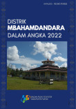Distrik Mbahamdandara Dalam Angka 2022